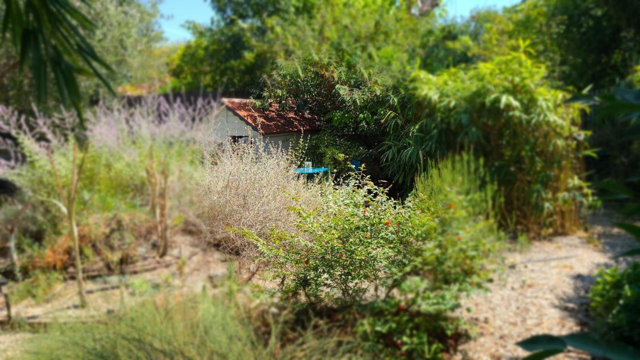 Апартаменти Chez Nous Dans Notre Petit Jardin Монпельє Екстер'єр фото